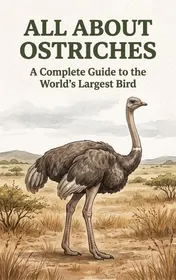 Omslag van All About Ostriches