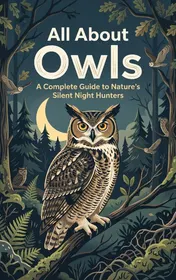 Omslag van All About Owls