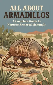 Omslag van All About Armadillos