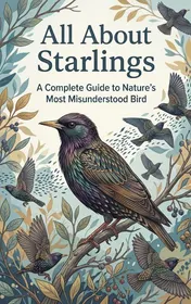Omslag van All About Starlings