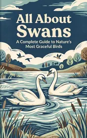 Omslag van All About Swans