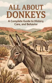 Omslag van All About Donkeys