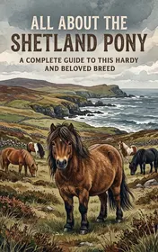 Omslag van All About the Shetland Pony