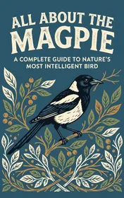 Omslag van All About the Magpie