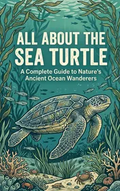 Omslag van All About the Sea Turtle