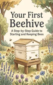 Omslag van Your First Beehive