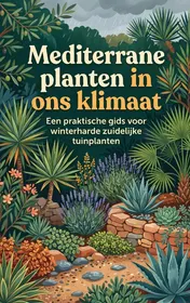 Omslag van Mediterrane planten in ons klimaat