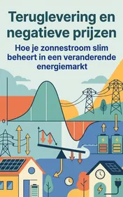 Omslag van Teruglevering en negatieve prijzen
