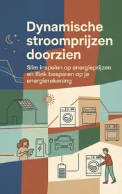 Omslag van Dynamische stroomprijzen doorzien