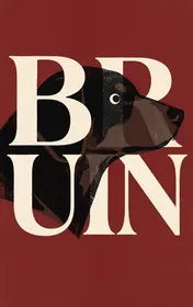 Omslag van Bruin