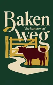 Omslag van Bakenweg