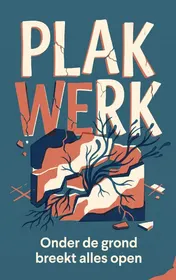 Omslag van Plakwerk