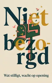 Omslag van Niet bezorgd