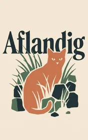 Omslag van Aflandig
