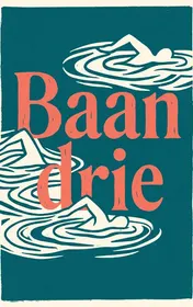 Omslag van Baan drie
