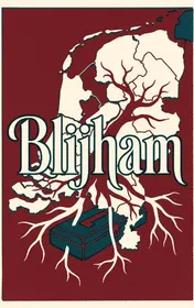 Omslag van Blijham