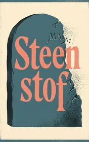 Omslag van Steenstof
