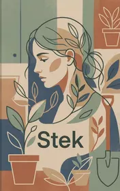 Omslag van Stek
