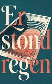 Omslag van Er stond regen