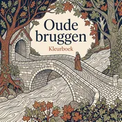 Omslag van Oude bruggen