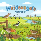 Omslag van Weidevogels