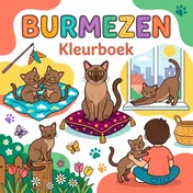 Omslag van Burmezen