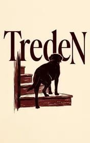 Omslag van Treden