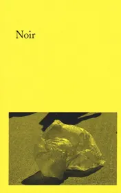 Omslag van Noir