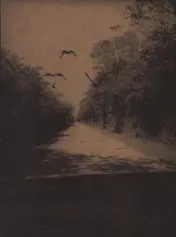 Omslag van On the Road — Everglades