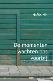 Omslag van De momenten wachten ons voorbij