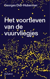 Omslag van Het voortleven van de vuurvliegjes