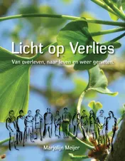 Omslag van Licht op verlies