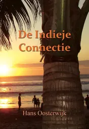Omslag van De Indieje Connectie