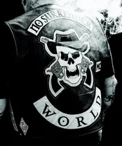Omslag van No Surrender