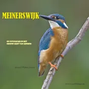 Omslag van Meinerswijk
