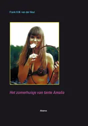 Omslag van Het zomerhuisje van tante Amalia