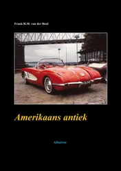 Omslag van Amerikaans antiek