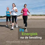Omslag van Fit en energiek na de bevalling