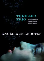 Omslag van Thriller-Trio