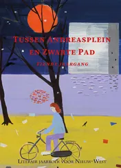 Omslag van X