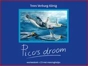 Omslag van Pico's droom