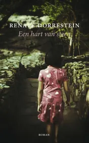 Omslag van Een hart van steen