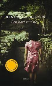 Omslag van Een hart van steen