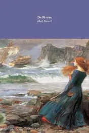 Omslag van De storm