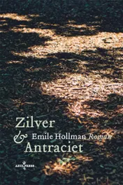 Omslag van Zilver en antraciet