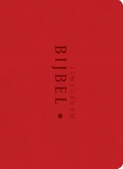 Omslag van Naardense bijbel
