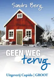 Omslag van Geen weg terug