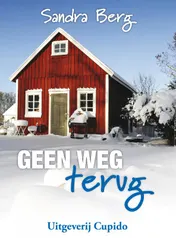 Omslag van Geen weg terug