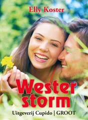Omslag van Westerstorm