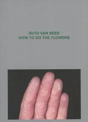 Omslag van How To Do The Flowers
